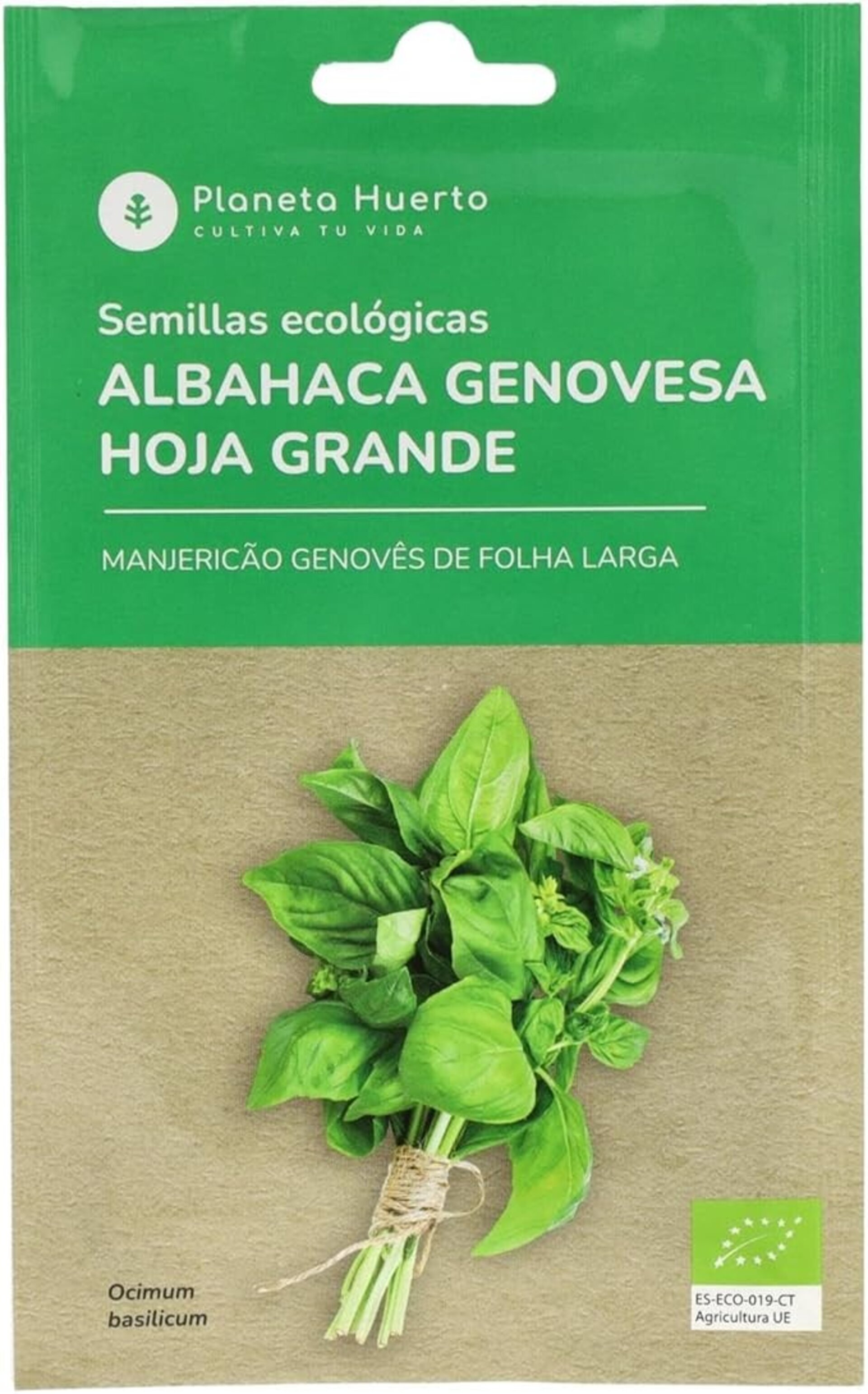 Ocimum basilicum 'Genovesa' (albahaca genovesa hoja grande) Semillas ecológicas - 2