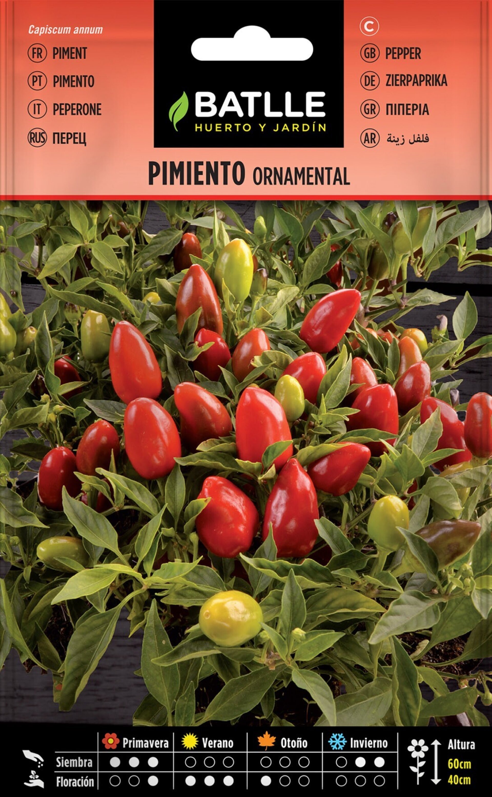 Capsicum annuum (pimiento ornamental) - Semillas - 2