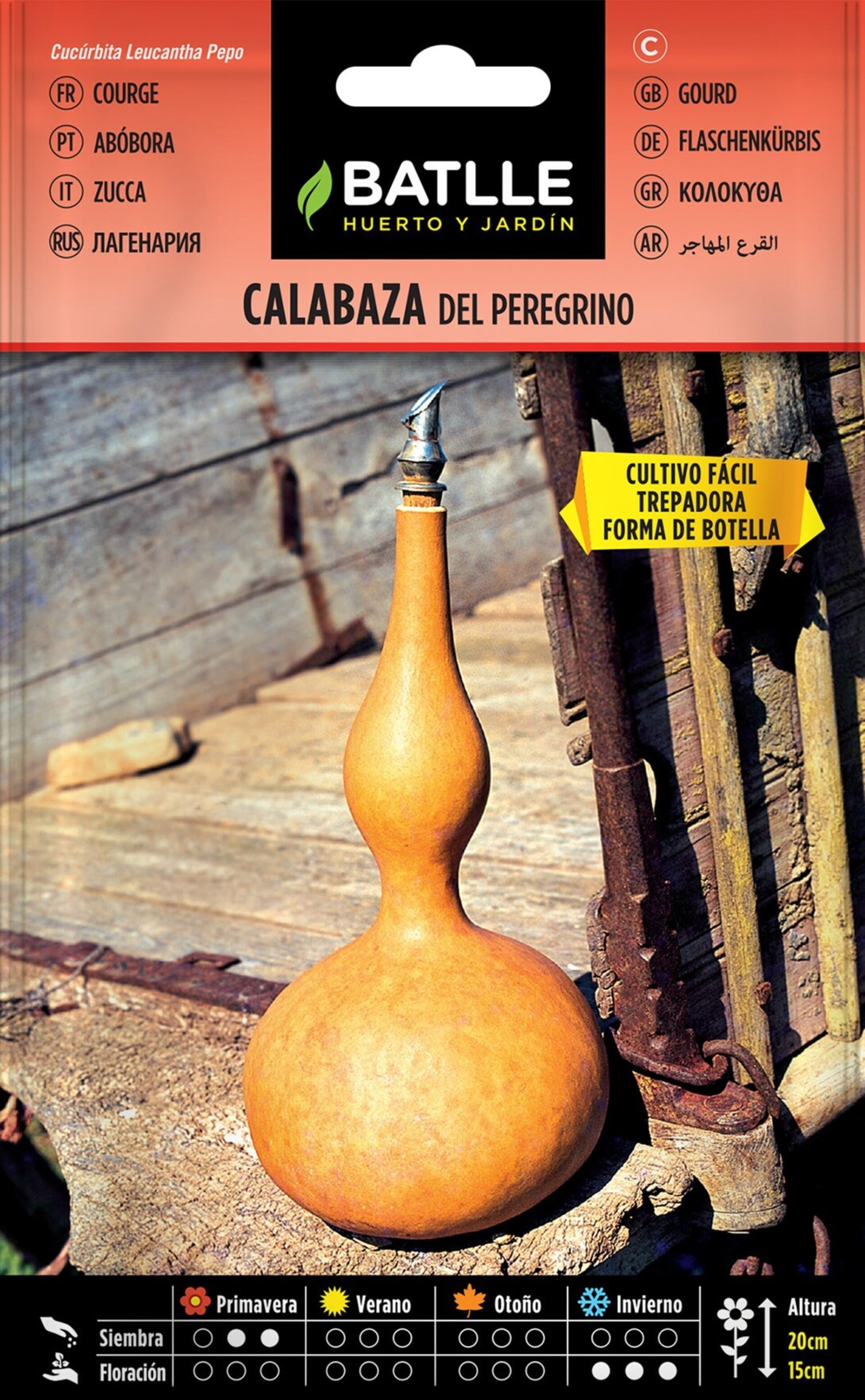 Lagenaria siceraria (calabaza del peregrino) - Semillas - 2
