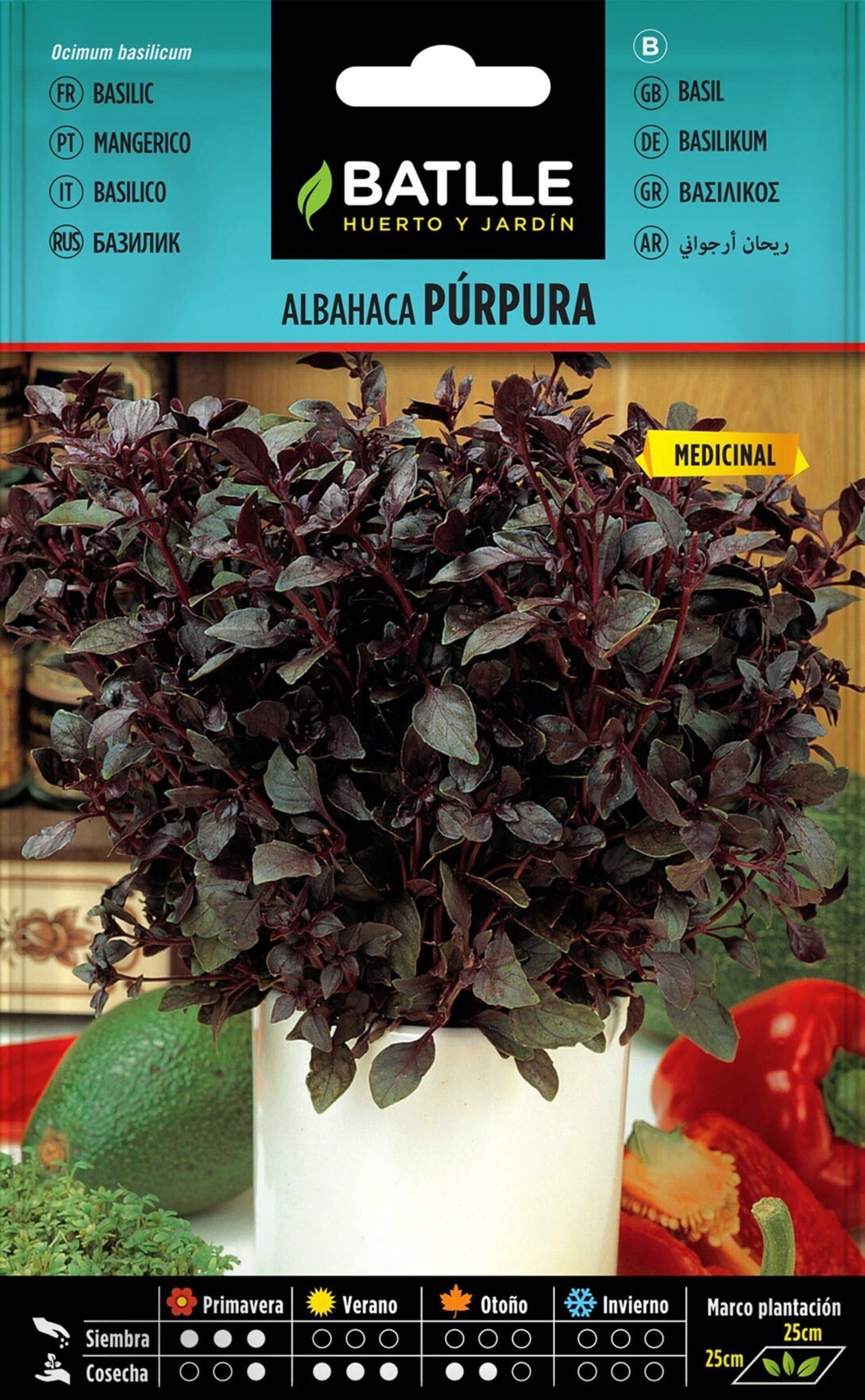 Ocimum basilicum var. purpurascens (albahaca púrpura) - Semillas - 2