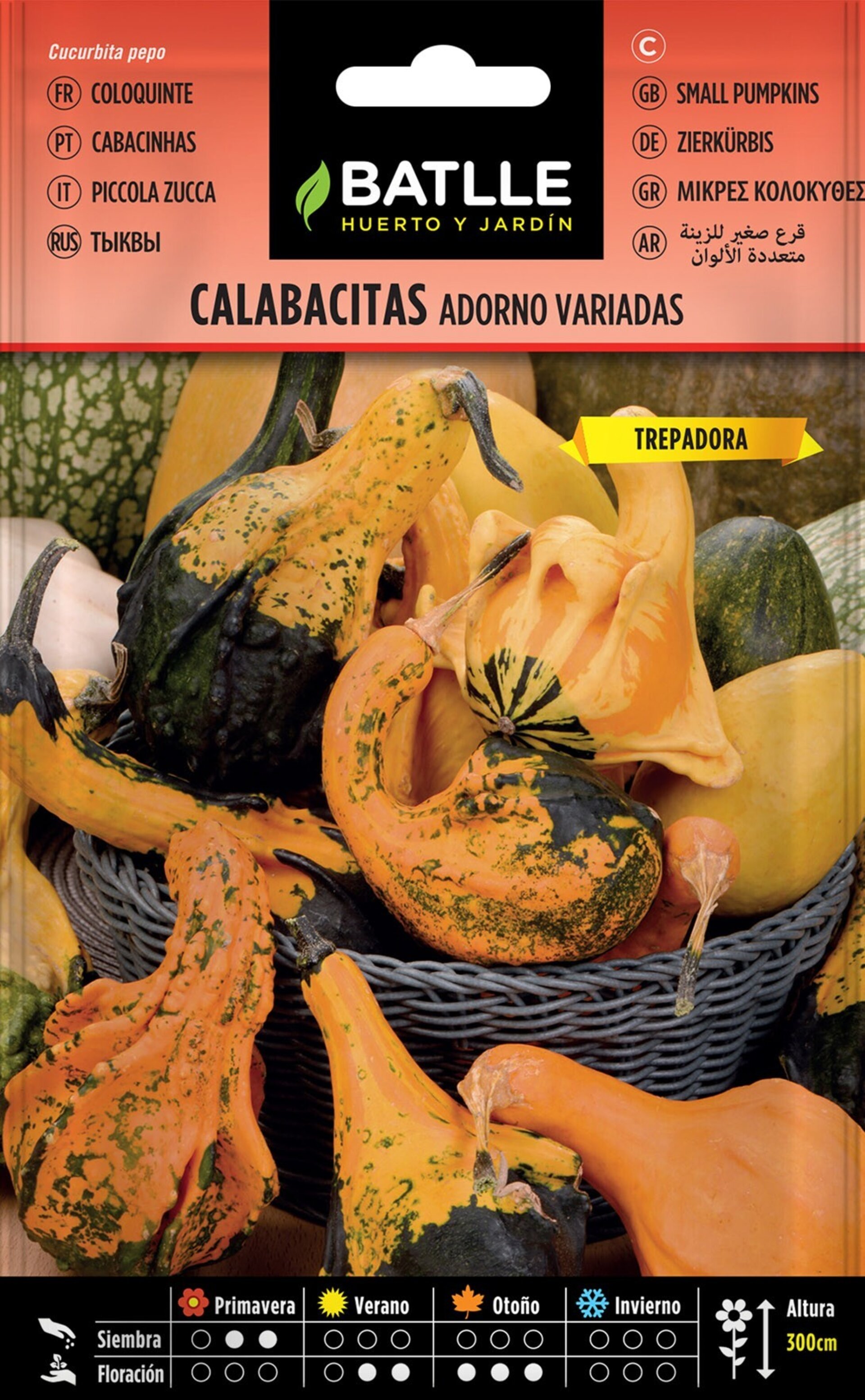 Cucurbita pepo (calabacitas de adorno variadas) - Semillas - 2