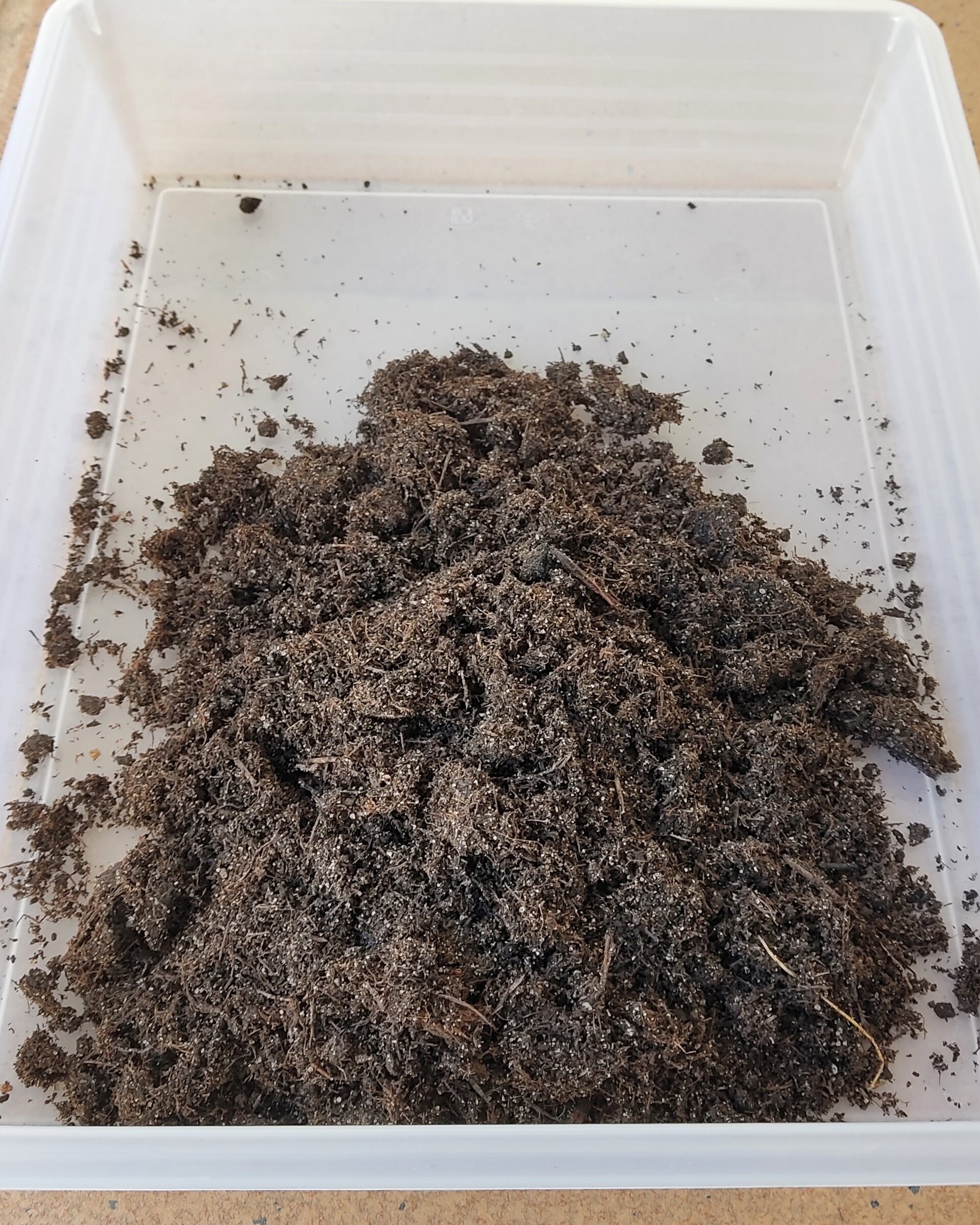 Sustrato para cactus y suculentas 5 litros - KakteenErde Gramoflor - 1