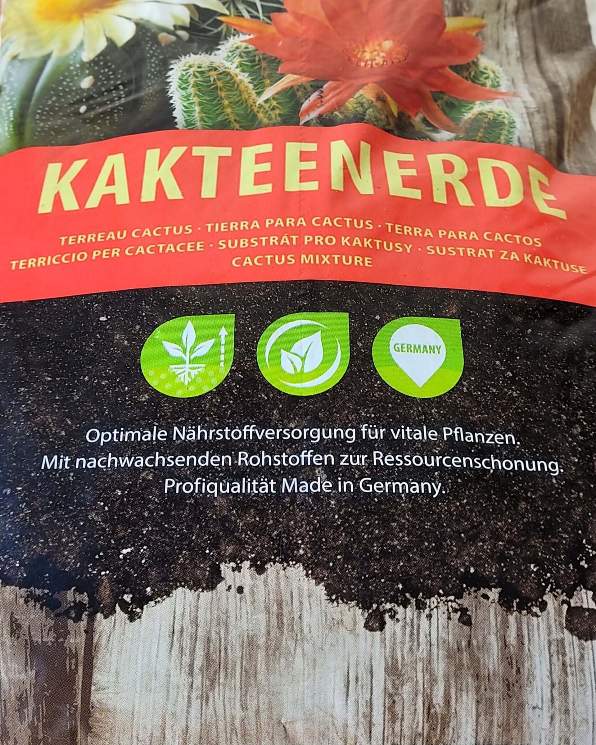 Sustrato para cactus y suculentas 5 litros - KakteenErde Gramoflor - 3