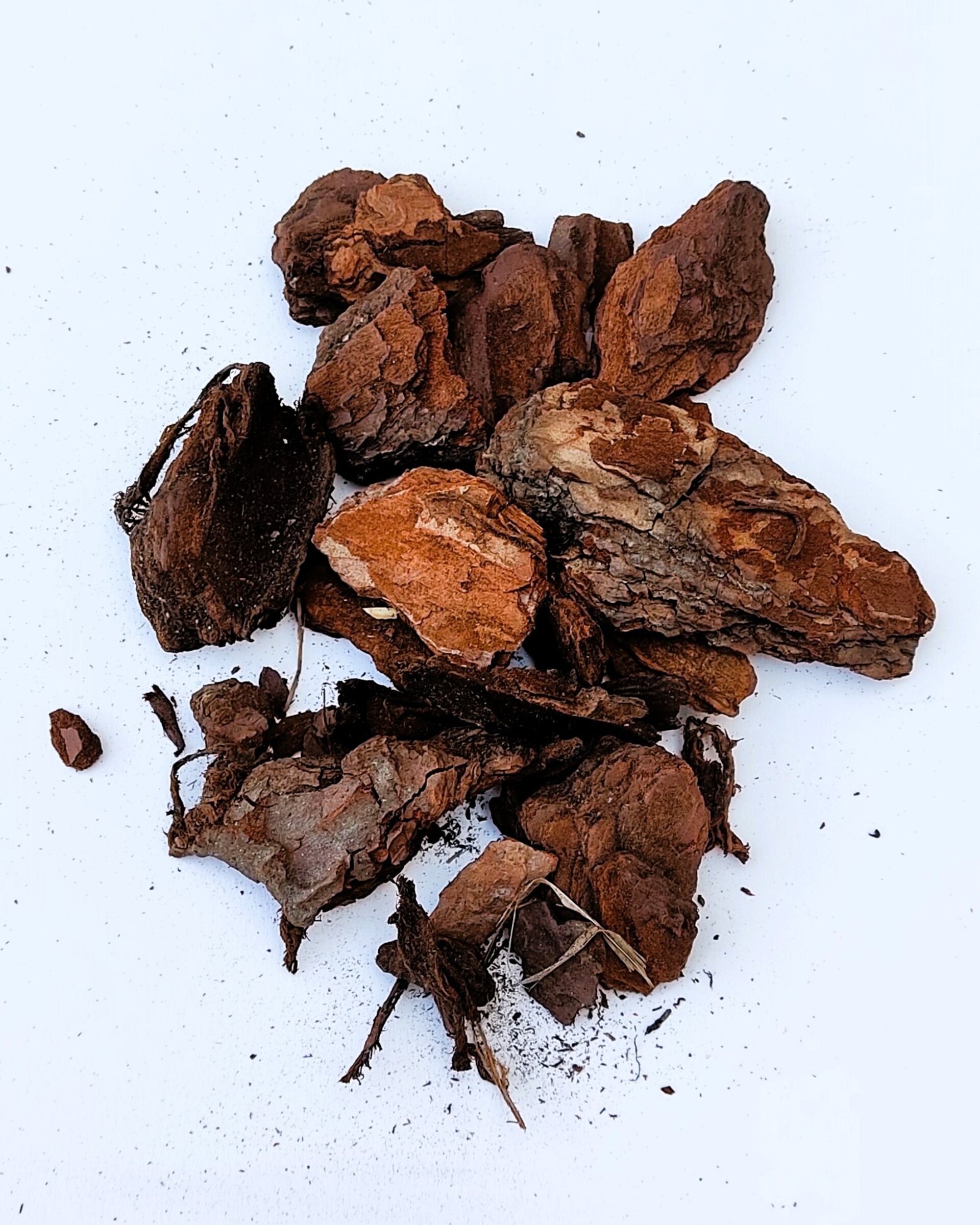 Corteza de pino - bolsa 5 litros - 2