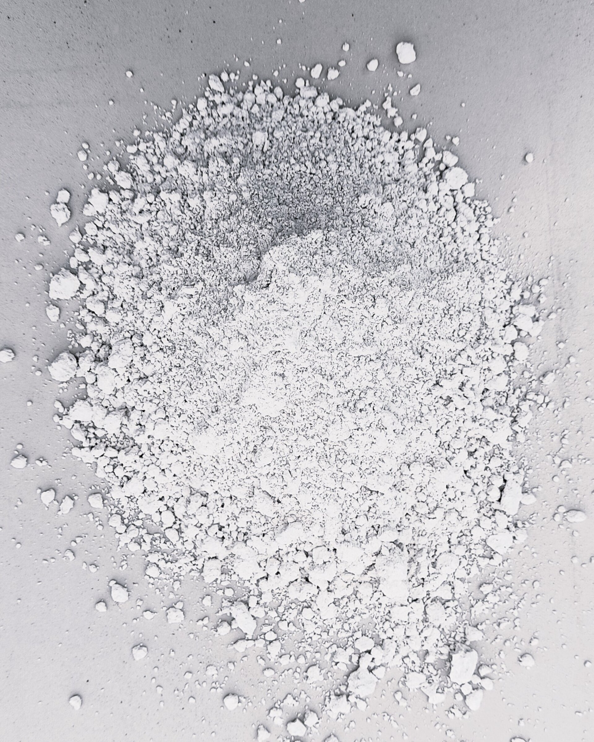 Tierra de diatomeas natural - bolsa 4 Kg. - 1