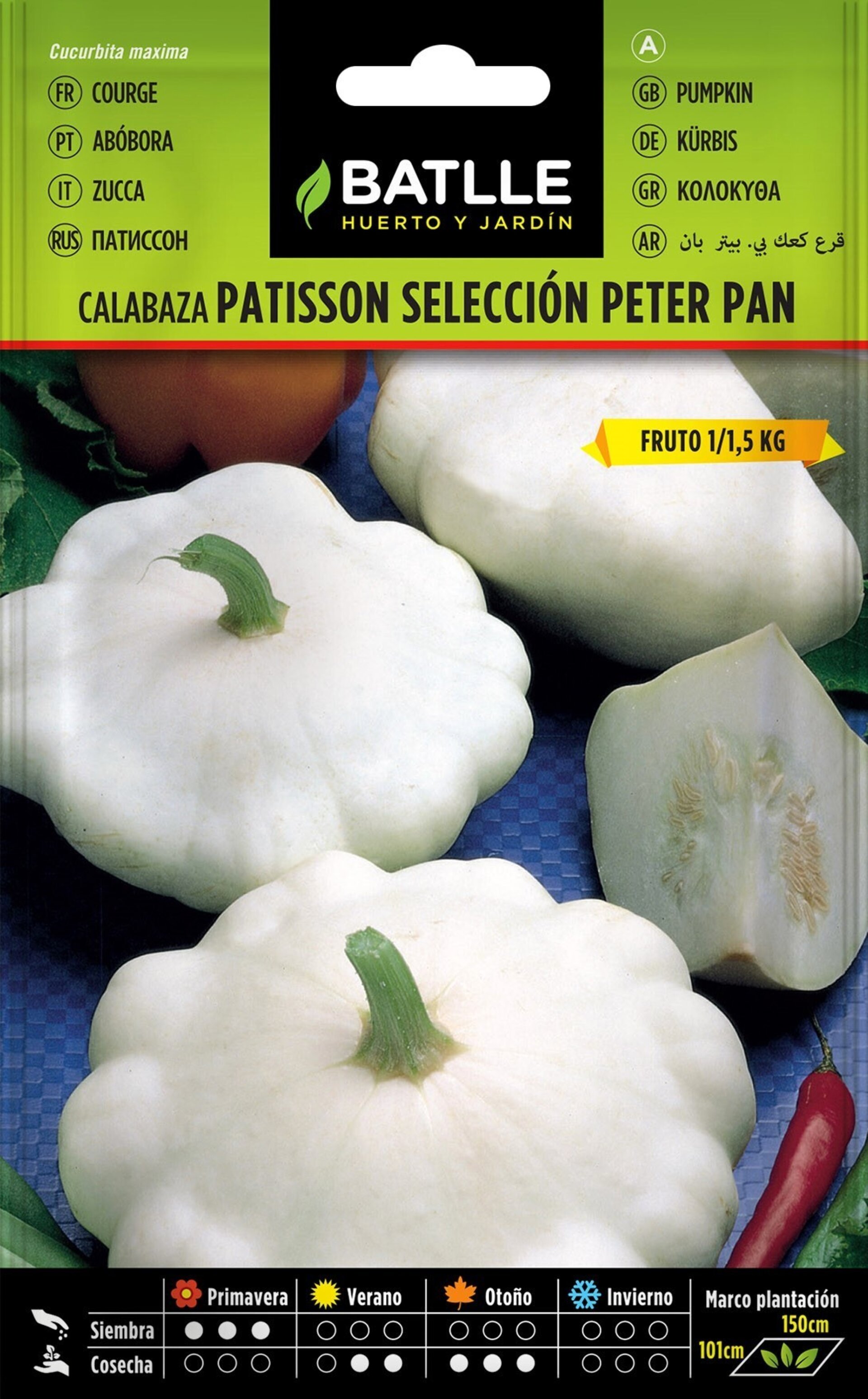 Cucurbita maxima 'Patisson' s. 'Peter Pan' (calabaza Patisson blanca) - Semillas - 2