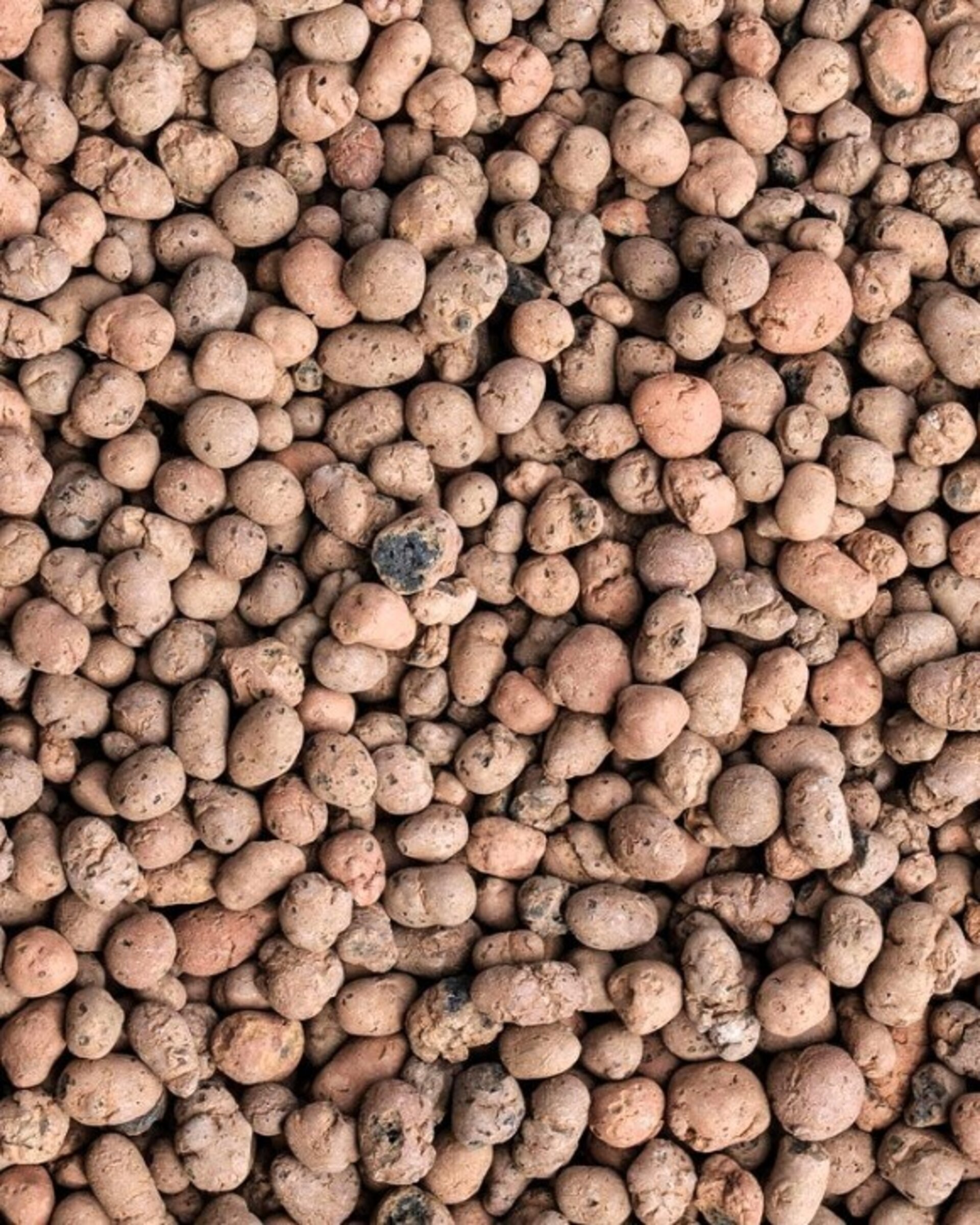 Arlita (arcilla expandida) - bolsa 5 litros - 2