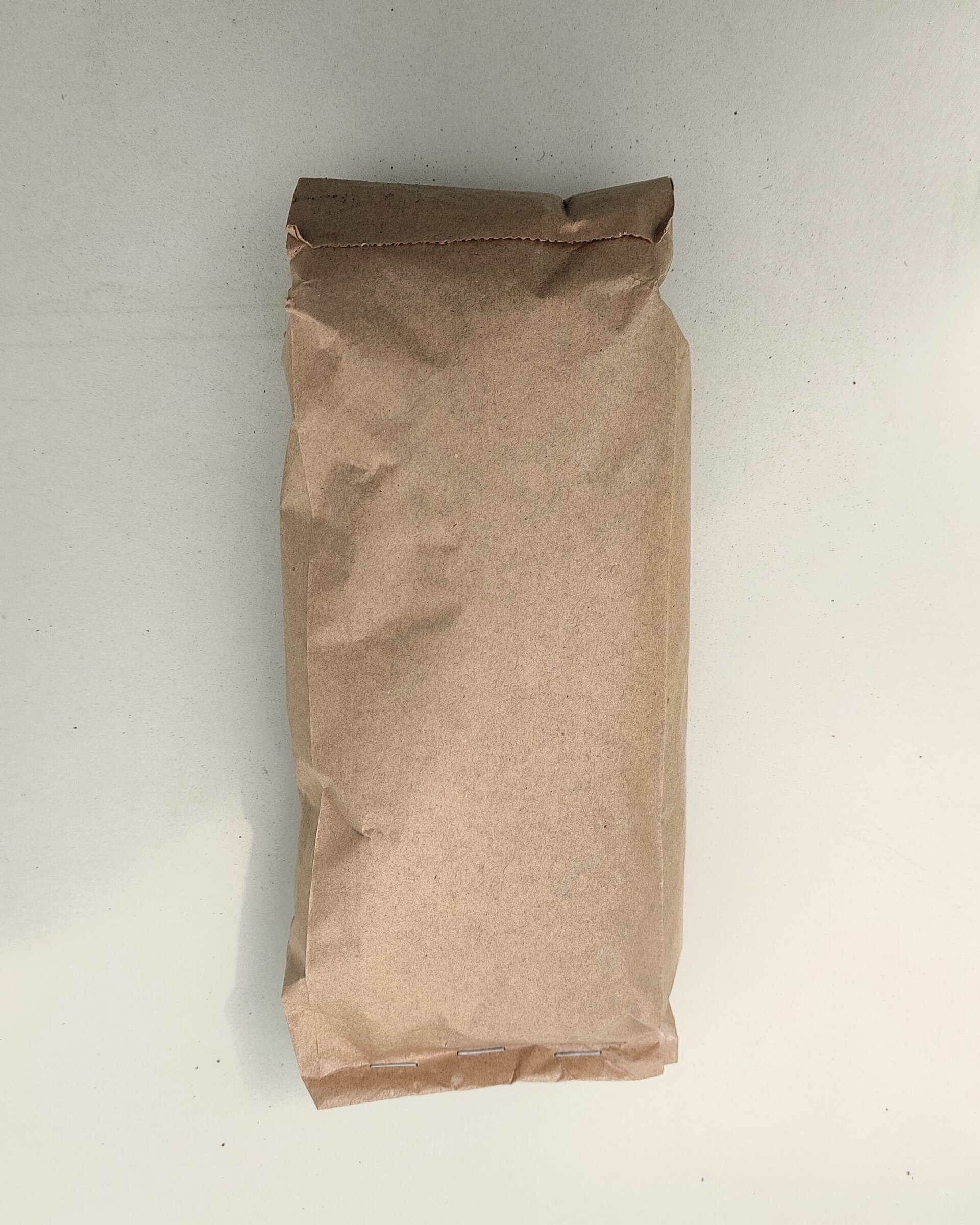 Fibra de coco - bolsa 1 litro - 2