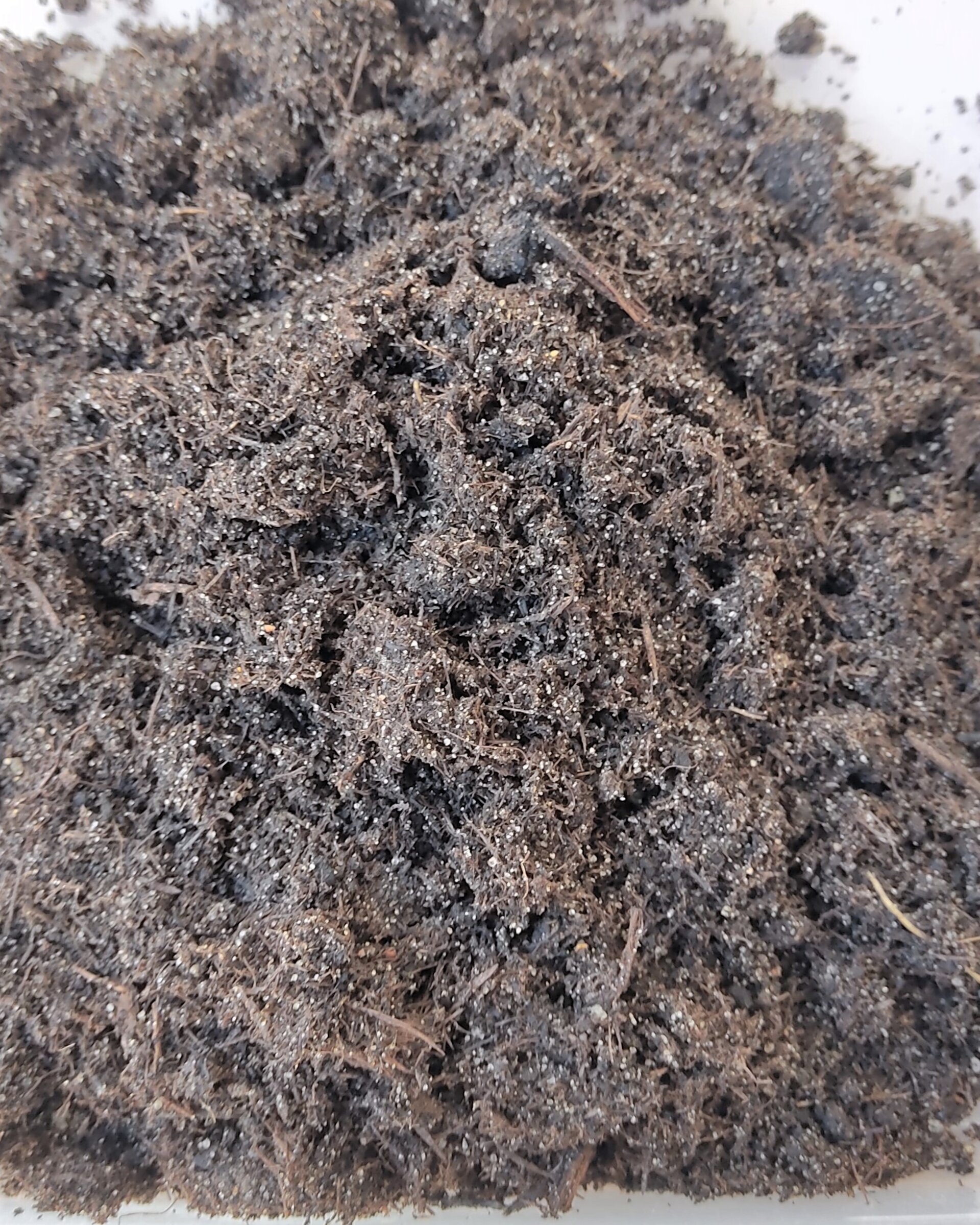 Sustrato para cactus y suculentas 5 litros - KakteenErde Gramoflor - 3